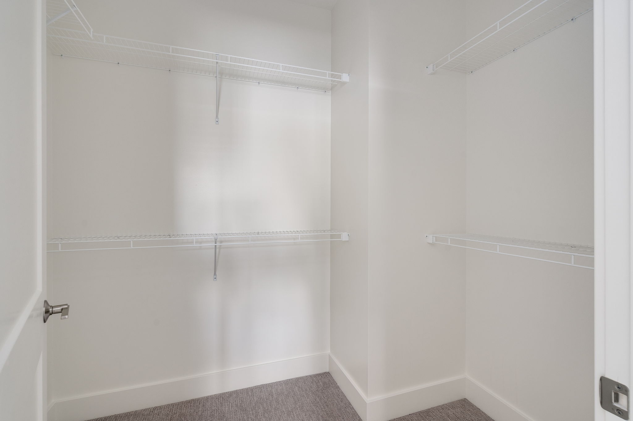 A white room with a door and a grey carpet.